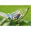 FLORENCIA Hamac  barres Simple Latte (Coton Bio) + Support Elipso Simple