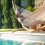 Hamac  double Brisa Vanilla (Outdoor) + Support Double ELIPSO
