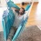 Chaise-Hamac Kingsize HABANA Azure en coton bio